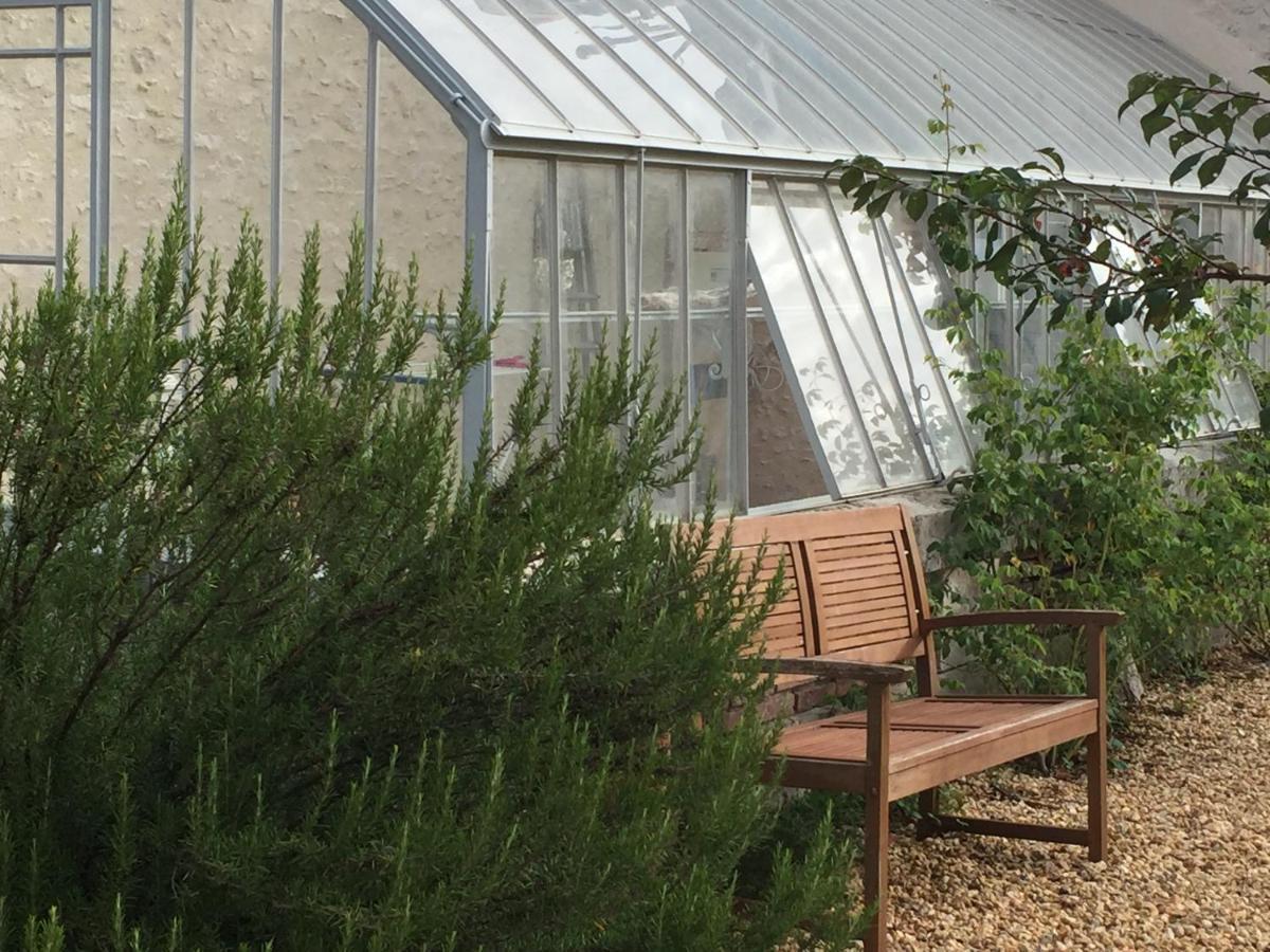 Вілла L'Orangerie "The Orangery" Du Parc Des Nouies Сель-сюр-Шер Екстер'єр фото